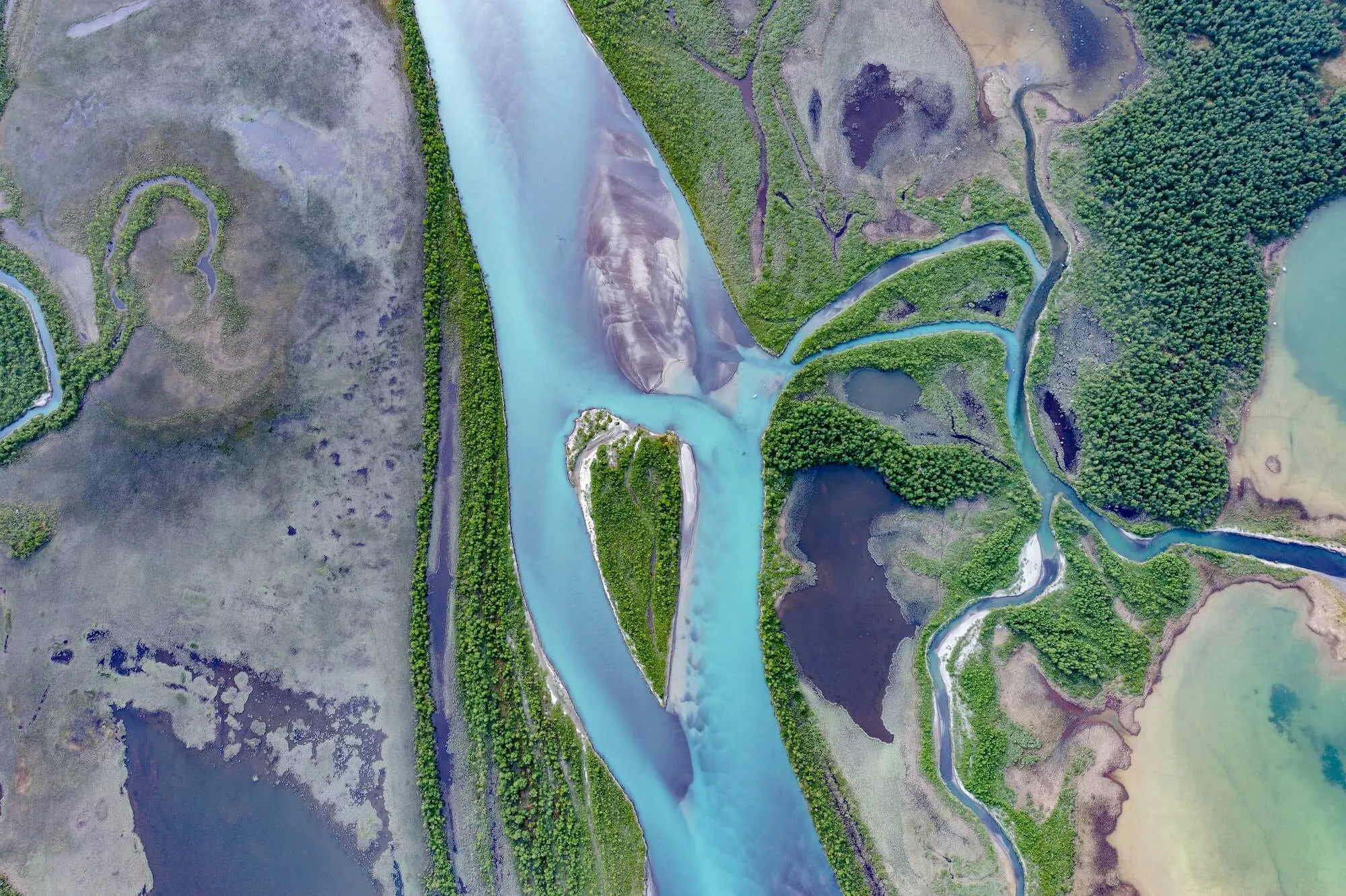 Certificate III in Beekeeping Image